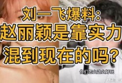 刘一飞最新爆料赵丽颖,刘一飞独家爆料引热议