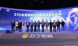 苏宁的最新爆料,揭秘苏宁易购神秘新项目，引领行业变革！