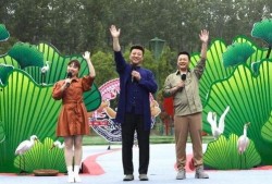 成都超市爆料视频最新版下载,揭秘超市内幕，下载观看