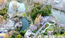 中山公园最新爆料信息,神秘古建筑群惊现，历史之谜待解