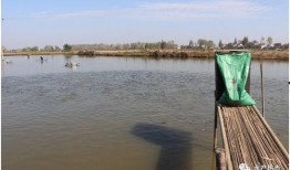 鱼塘爆料大全视频最新,揭秘娱乐圈最新热点事件