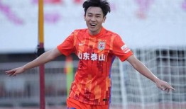 陈晨爆料足球视频大全最新,足球视频大全最新爆料，精彩瞬间一网打尽！